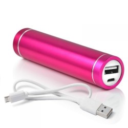 Batterie Chargeur Externe Universel Power Bank 2600mAh avec Cable USB/Mirco USB Secours Téléphone