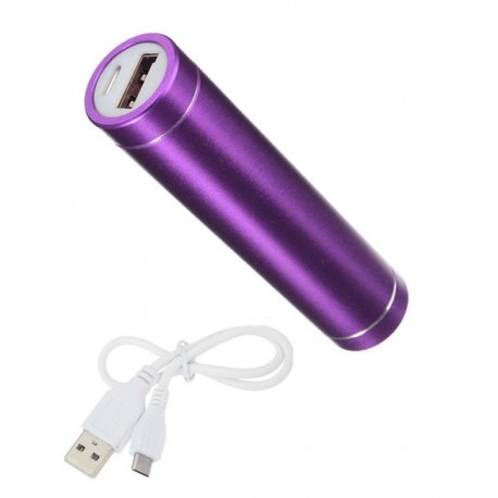 Batterie Chargeur Externe Universel Power Bank 2600mAh avec Cable USB/Mirco USB Secours Téléphone