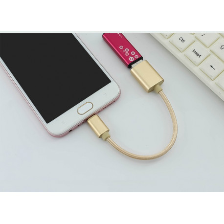 Adaptateur Type C/USB pour Smartphone & MAC USB-C Clef Connecteur