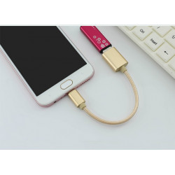 Adaptateur Type C/USB pour Smartphone & MAC USB-C Clef Connecteur